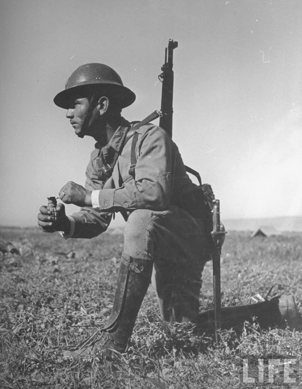 Thread: Mexican military uniforms past and present