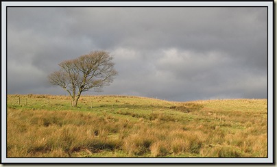 The landscape of Darwen Moor