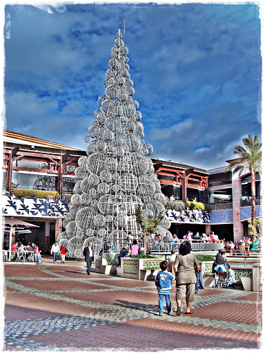 DSCF3295.jpg