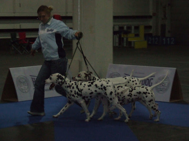 DSCF7947.JPG