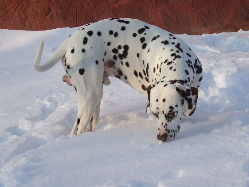 DSCF8191.JPG