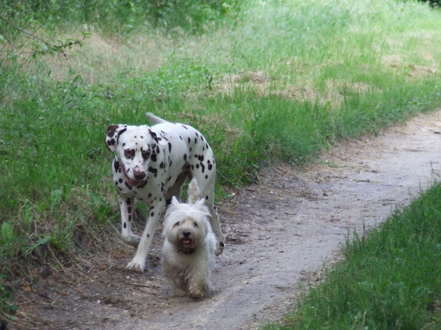 DSCF9276.JPG