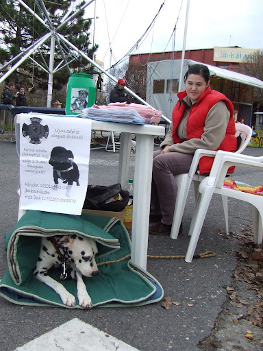 DSCF9764.JPG