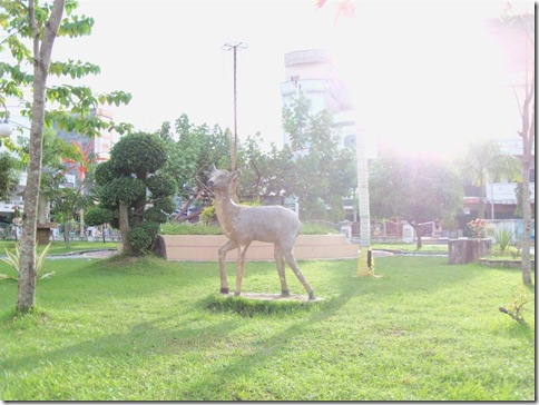 100_2628 (Large)