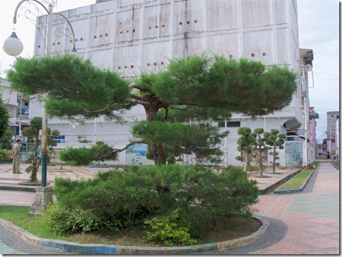 100_2626 (Large)
