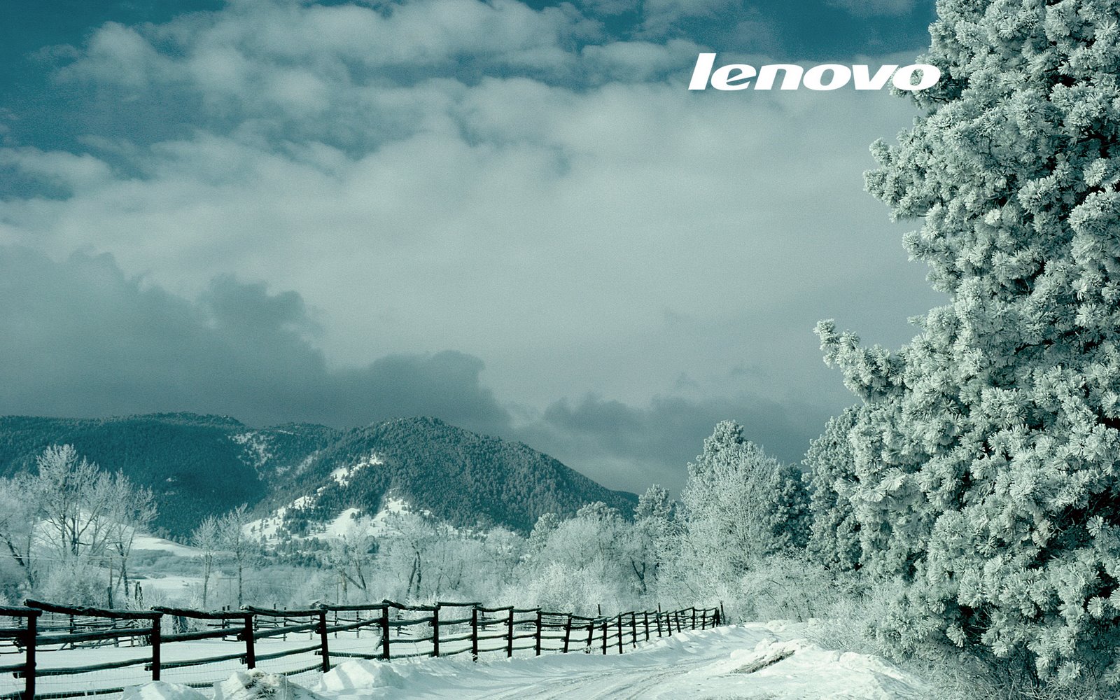 [Lenovo_Winter_W.jpg]