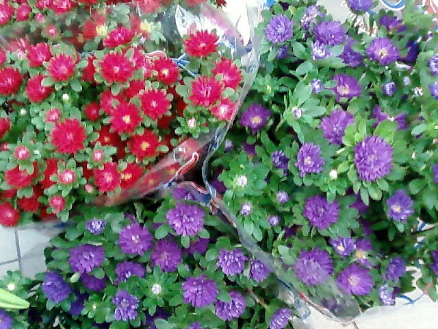 Флешмобильник.
