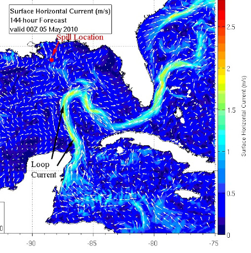 Gulf Of Mexico surface currents are carrying the Gulf Oil Spill straight into the loop current.