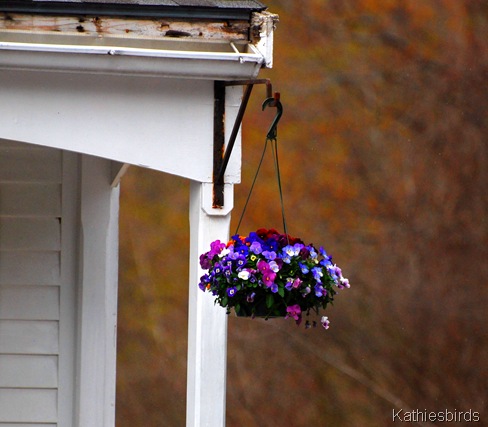 11. flowerbasket