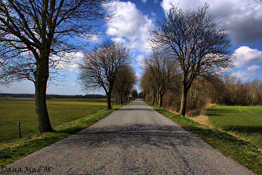 denmark_smwhr_road02.jpg