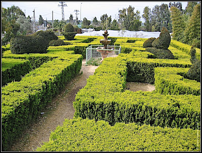 Orchids garden - Utopia