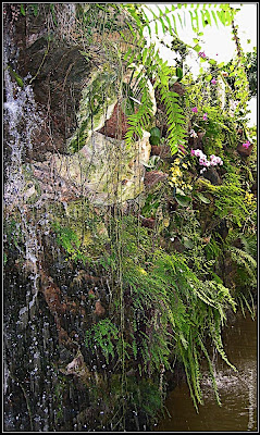 Orchids garden - Utopia