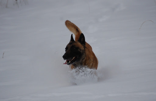 DSC_0093.JPG