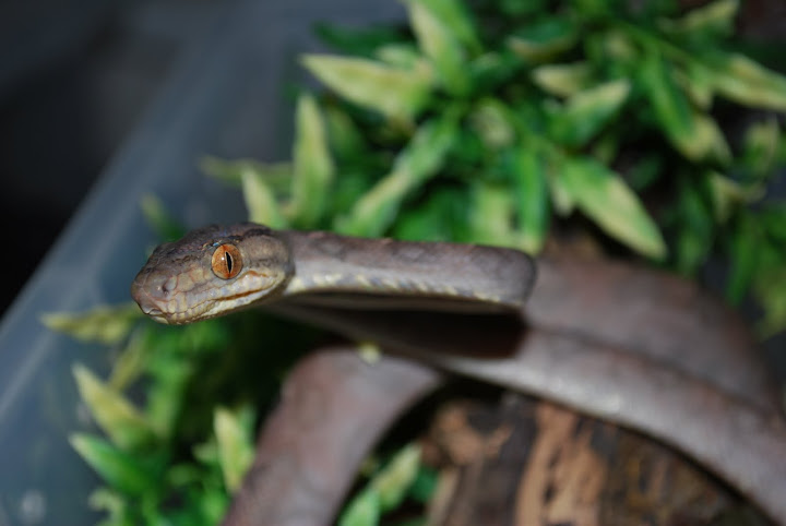 DSC_0770.JPG