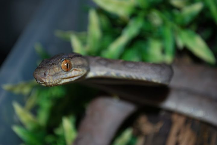 DSC_0771.JPG