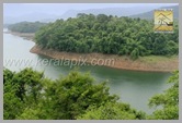 PCHI_012_peechi_kerala_DSC0033