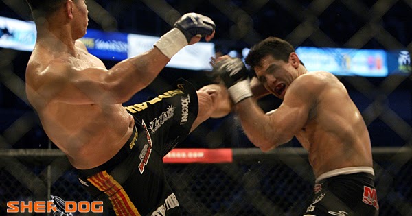 Mma Ratings Strikeforce Shamrock Vs Le 8 Cung Le Vs Frank Shamrock