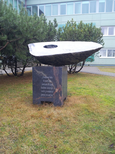 Statue for Library