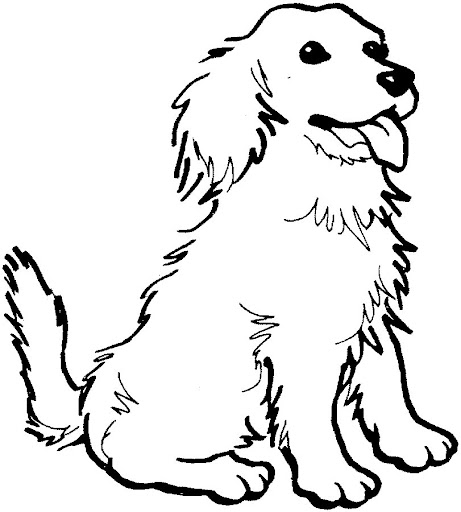 Dibujos De Animales Mamiferos Para Colorear Imagui
