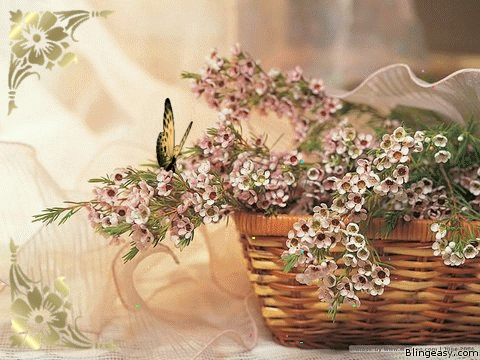877149_Flowers_and_butterfly.png