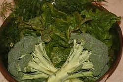 [homegrown broccoli.jpg]