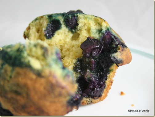 Blueberry Muffin Bursting with Blueberries