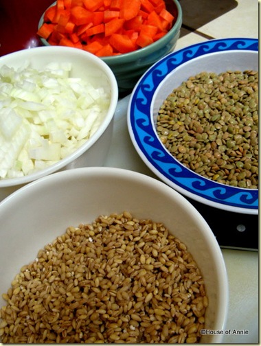 Carrots, Onions, Lentils and Barley