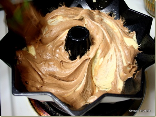 Swirling Chocolate and Vanilla Cake Batter in the Bundt