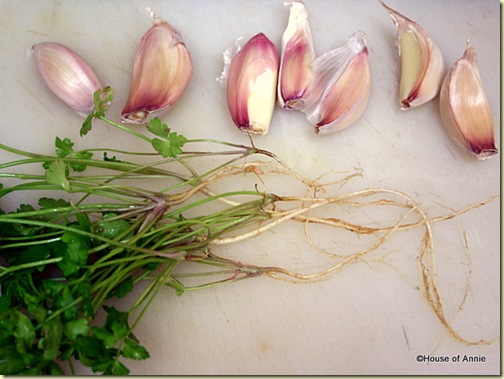 Garlic and Cilantro with Cilantro Roots