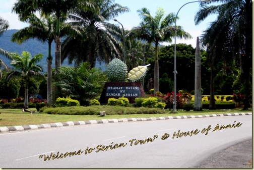Welcome to Serian Town