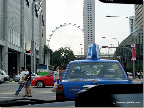 singapore flyer from street