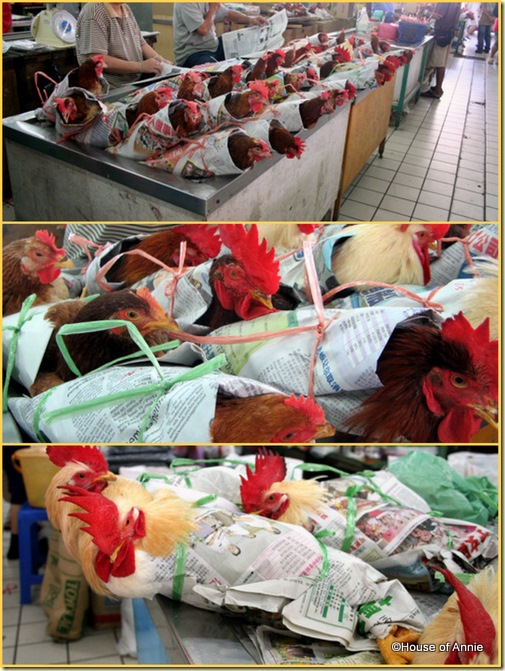Sibu Central Market Live Chickens
