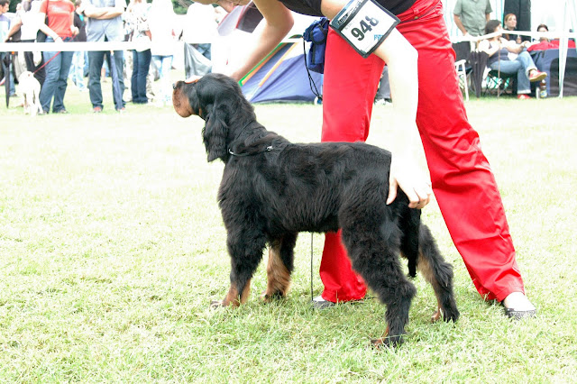 DSC_1953.JPG