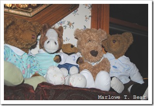 tn_2011-01-15 Foster, Robinson, Milton, Caleb and Marlowe in PJs (2)