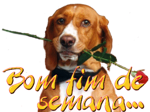 cachorobomfinaldesemanada6.png