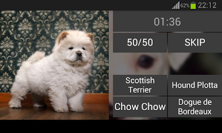 Guess the puppy poster 8