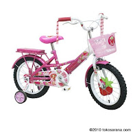 Sepeda Anak WIMCYCLE BMX Strawberry Shortcake 18 inci