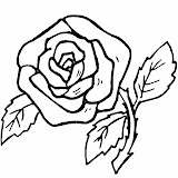 Flores30.jpg