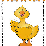 dji_duck.jpg