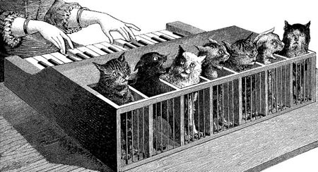 [cat piano[3].jpg]
