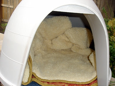 interior of feral cat igloo home very cosy