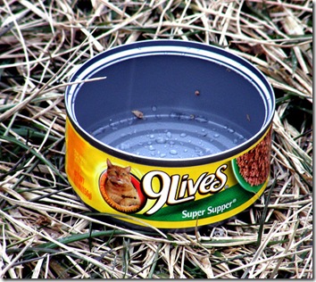9 lives cat food with Morris the cat on the tin