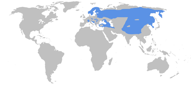 Distribution of Eurasian lynx