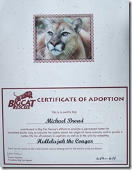 Big Cat Rescue Certficate of Adoption