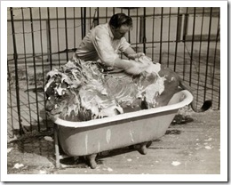 circus lion being washed in bath tub - photo by Wisconsin Historical Society
