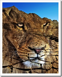 photo montage and manipulation of lion and landscape - by ViaMoi