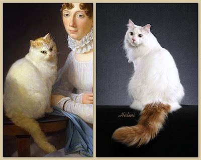 comparison between a modern Turkish Van ca and one from the 1700s possibly