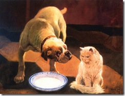 Arthur Heyer Bulldog and white Angora or Persian cat