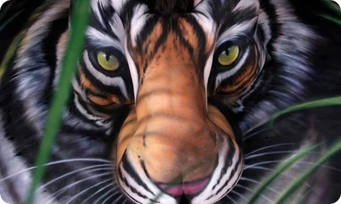 Strange image of a tiger