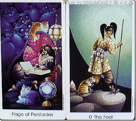 tarot cards cat people tarot cards the fool and page of pentacles